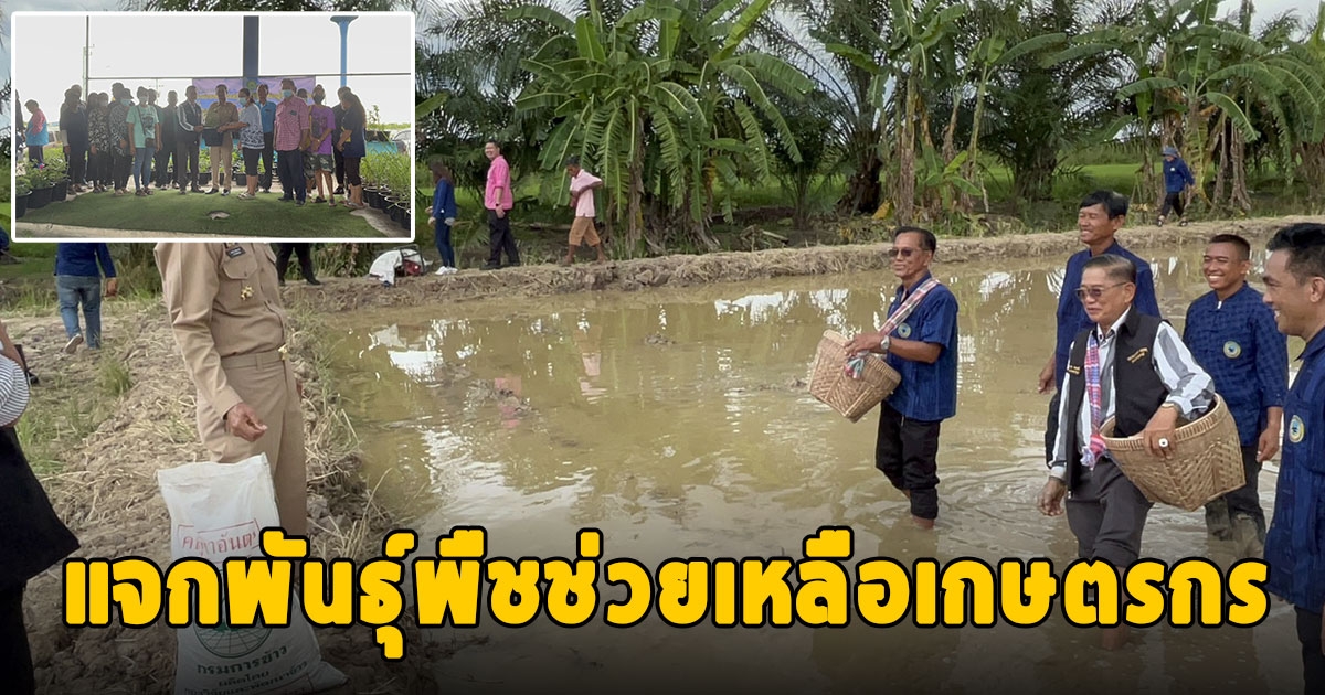 แจกพันธุ์พืชช่วยเหลือเกษตรกรตามโครงการส่งเสริมการเกษตรตามหลักปรัชญาเศรษฐกิจพอเพียง