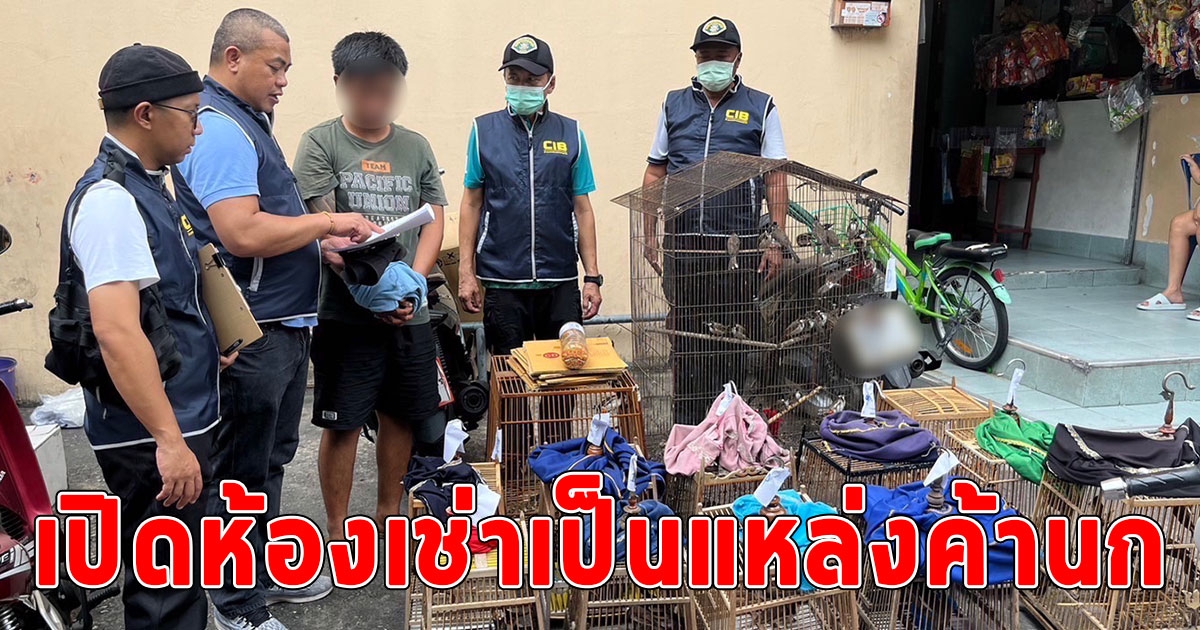 รวบพ่อค้านกออนไลน์ ลงทุนเปิดห้องเช่าเป็นแหล่งค้านก ส่งกลิ่นเหม็นรบกวนชาวบ้าน