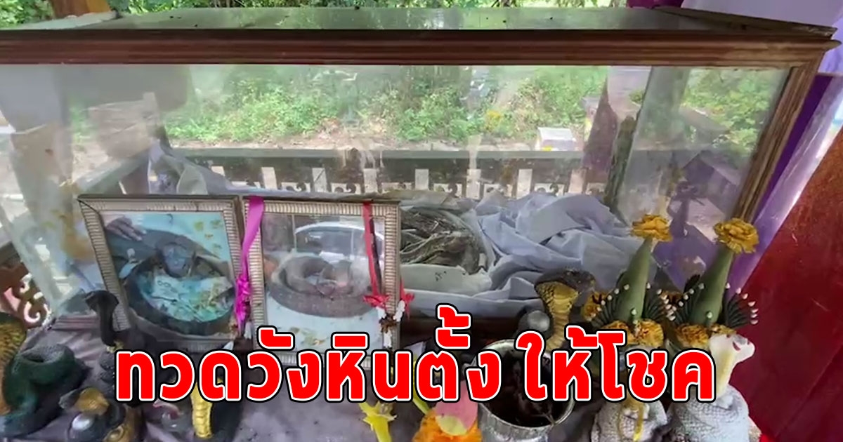 ชาวบ้านเชื่อ ทวดวังหินตั้ง ให้โชค ผงะร่างจงอางในโลงแก้ว