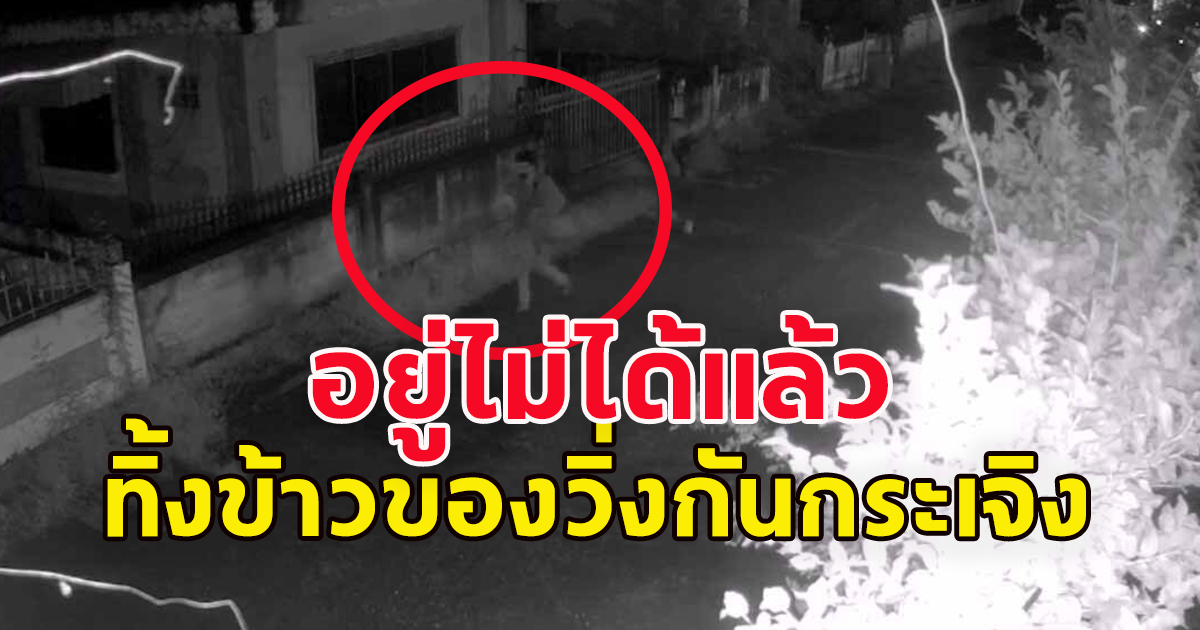 เจอดีแล้ว 2 โจรบุกบ้านหรู ก่อนสุดท้ายทิ้งข้าวของวิ่งหนีกันกระเจิง