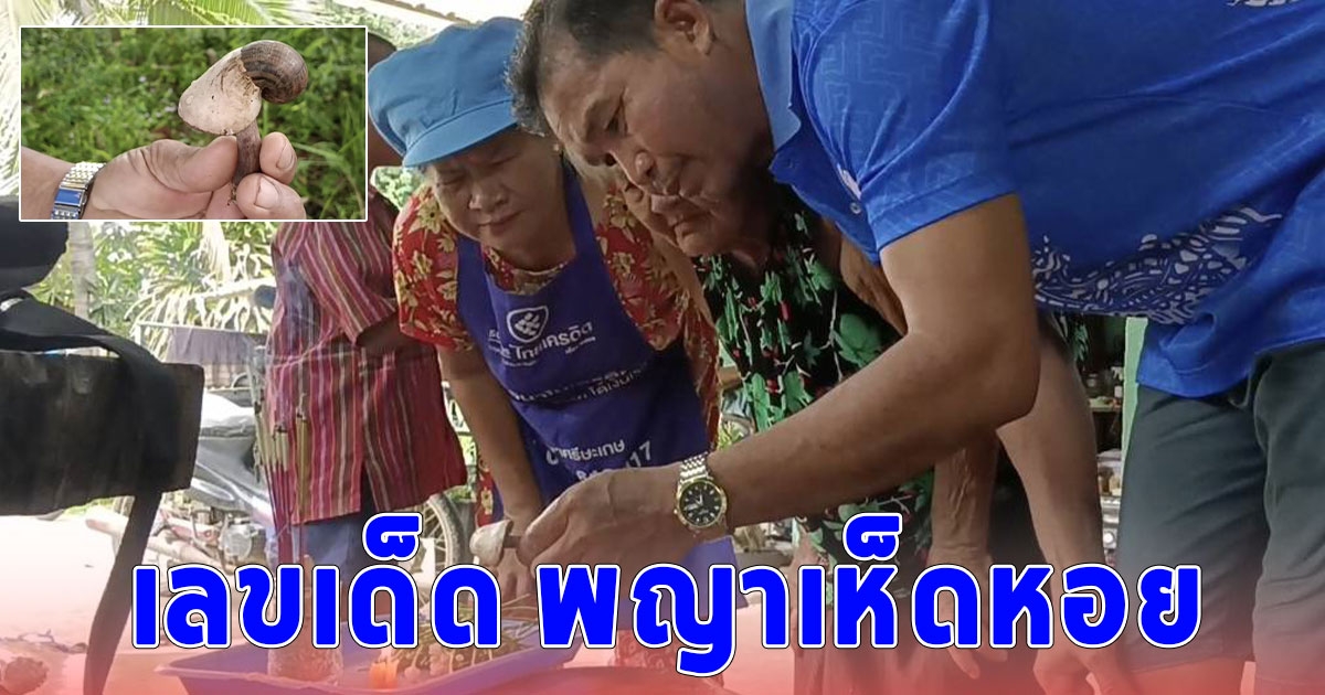 ชาวบ้านแห่ขอหวย พญาเห็ดหอย
