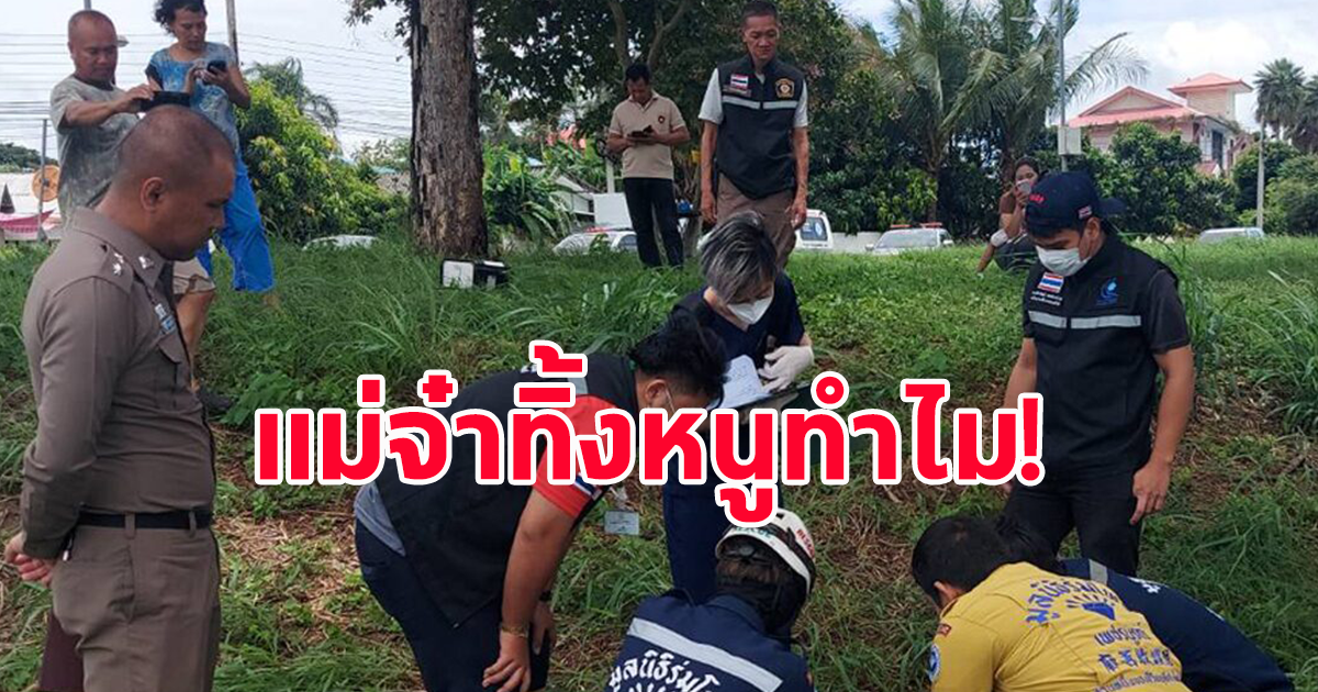 แม่จ๋าทิ้งหนูทำไม พบร่างทารก9เดือนเพิ่งคลอด ถูกทิ้งริมหนองน้ำ ชาวบ้านหดหู่ใจ