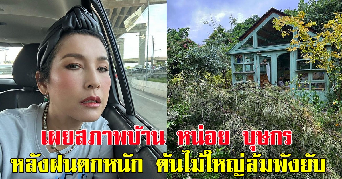 เผยสภาพบ้าน หน่อย บุษกร หลังฝนตกหนัก ต้นไม้ใหญ่ล้มพังยับ