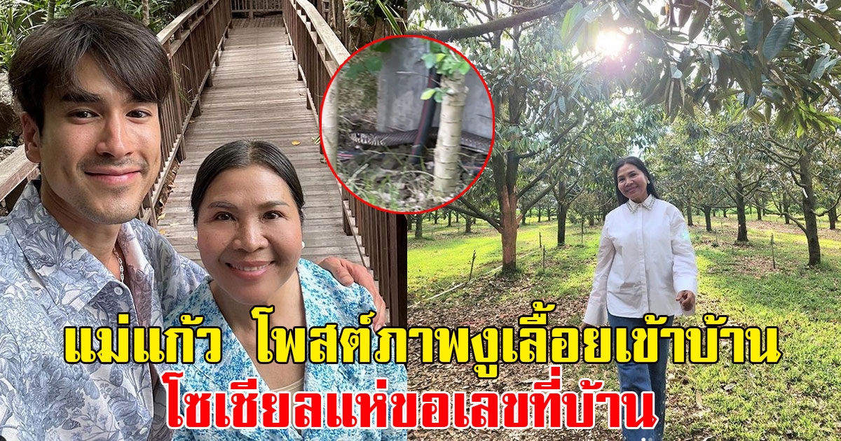 แฟนๆแห่คอมเมนต์ แม่แก้ว โพสต์ภาพงูตัวใหญ่เลื้อยเข้าบ้าน โซเชียลแห่ขอเลขที่บ้าน
