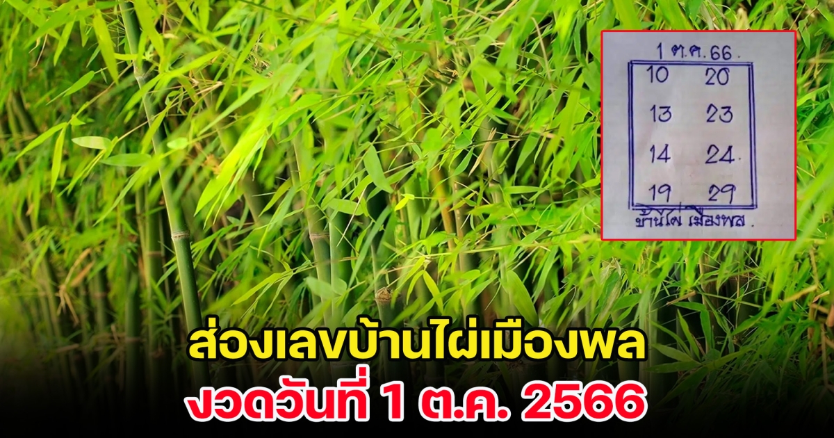 ส่องเลขดังบ้านไผ่เมืองพล งวดวันที่ 1 ต.ค. 2566 หลังครั้งที่แล้วพาเฮง