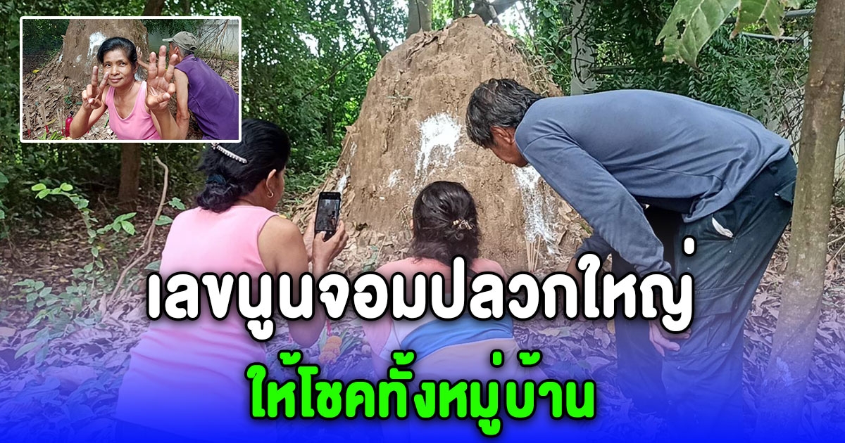 เลขนูนจอมปลวกใหญ่ให้โชคตรงกับเสาไฟหน้าศาล