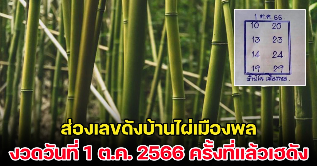 ส่องเลขดังบ้านไผ่เมืองพล งวดวันที่ 1 ต.ค. 2566 หลังครั้งที่แล้วเฮดังมาก