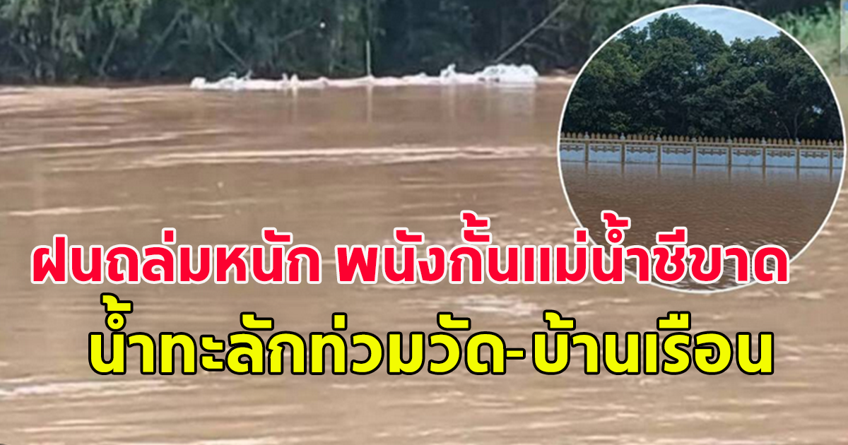 ฝนถล่มหนัก พนังกั้นแม่น้ำชีขาด น้ำทะลักท่วมวัด-บ้านเรือน