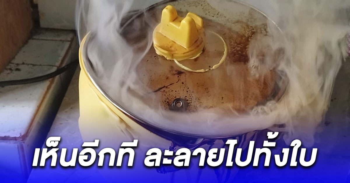 สาวเล่านาทีระทึก ต้มหมูสามชั้นในหม้อรุ่นฮิต เห็นอีกที ละลายไปทั้งใบ