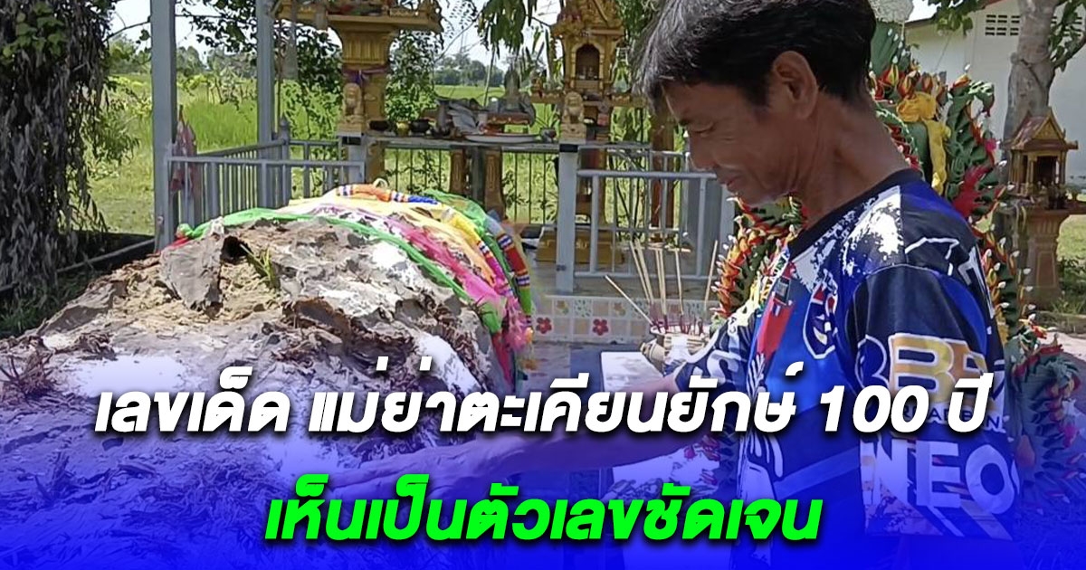 แห่ขอโชคลาภแม่ย่าตะเคียนยักษ์ 100 ปี ขุดพบกลางลำห้วย เลขโผล่ 3 ตัว