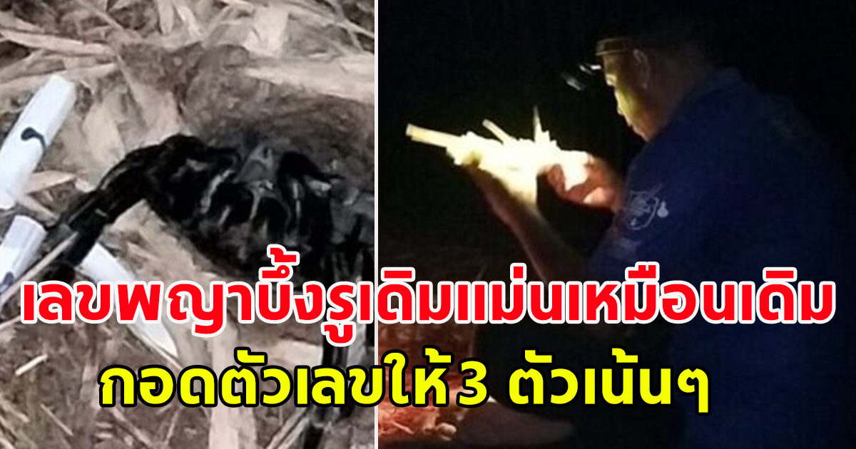 มาแล้ว เลขพญาบึ้ง งวด16 ต.ค. 66 นั่งรอลุ้นตั้งแต่เช้ายันค่ำ ได้ 3 ตัว