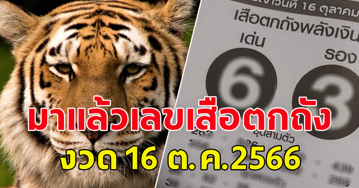 เลขเสือตกถังพลังเงินดี งวด 16 ตุลาคม 2566