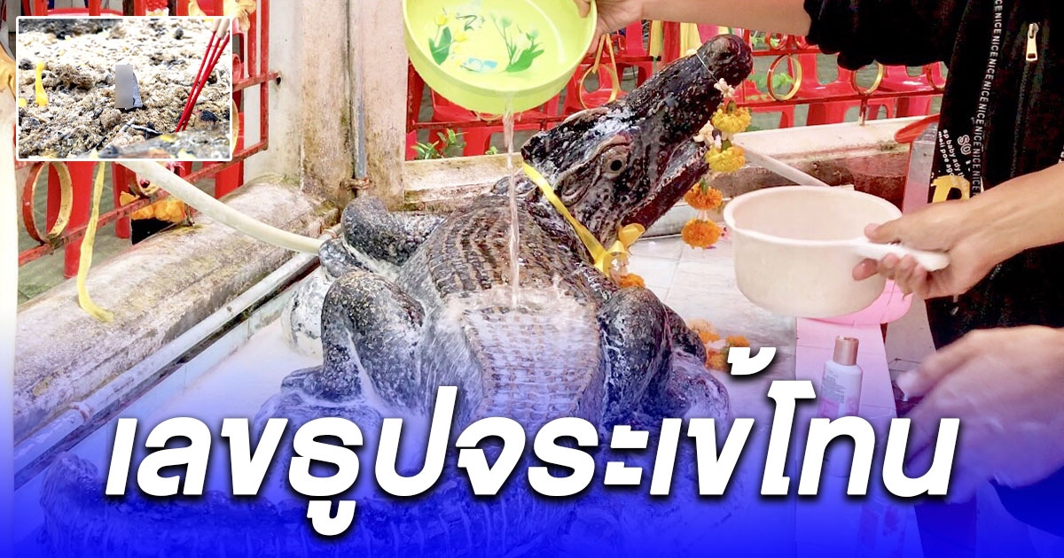 สายมูแน่น แห่อาบน้ำจระเข้โทน บันดาลโชคลาภ เลขธูป 3 ตัว ปลดหนี้ การเงินคล่อง
