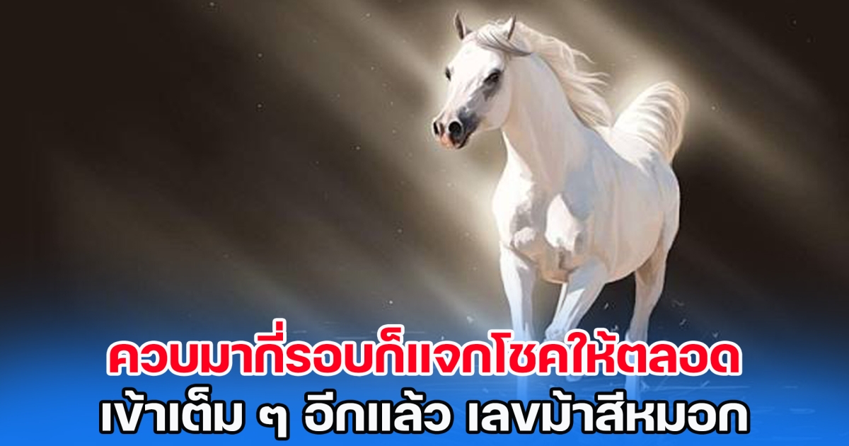 ควบมากี่รอบก็แจกโชคให้ตลอด เข้าเต็ม ๆ อีกแล้ว เลขม้าสีหมอก