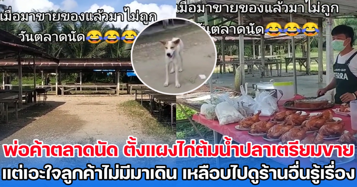 พ่อค้าตลาดนัด ตั้งแผงไก่ต้มน้ำปลาเตรียมขาย แต่เอะใจลูกค้าไม่มีมาเดินเลย เหลือบไปดูร้านอื่นรู้เรื่อง