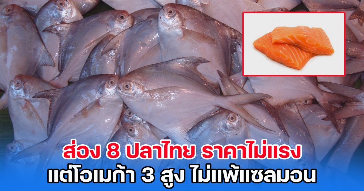 ส่อง 8 ปลาไทย ราคาไม่แรง แต่โอเมก้า 3 สูง ไม่แพ้แซลมอน
