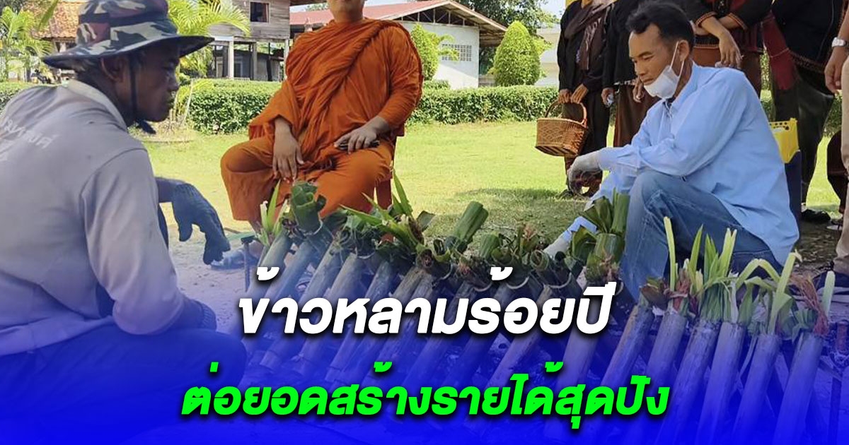 ชาวนาแห่เผาทั้งหมู่บ้าน ข้าวหลามร้อยปี ต่อยอดสร้างรายได้สุดปัง