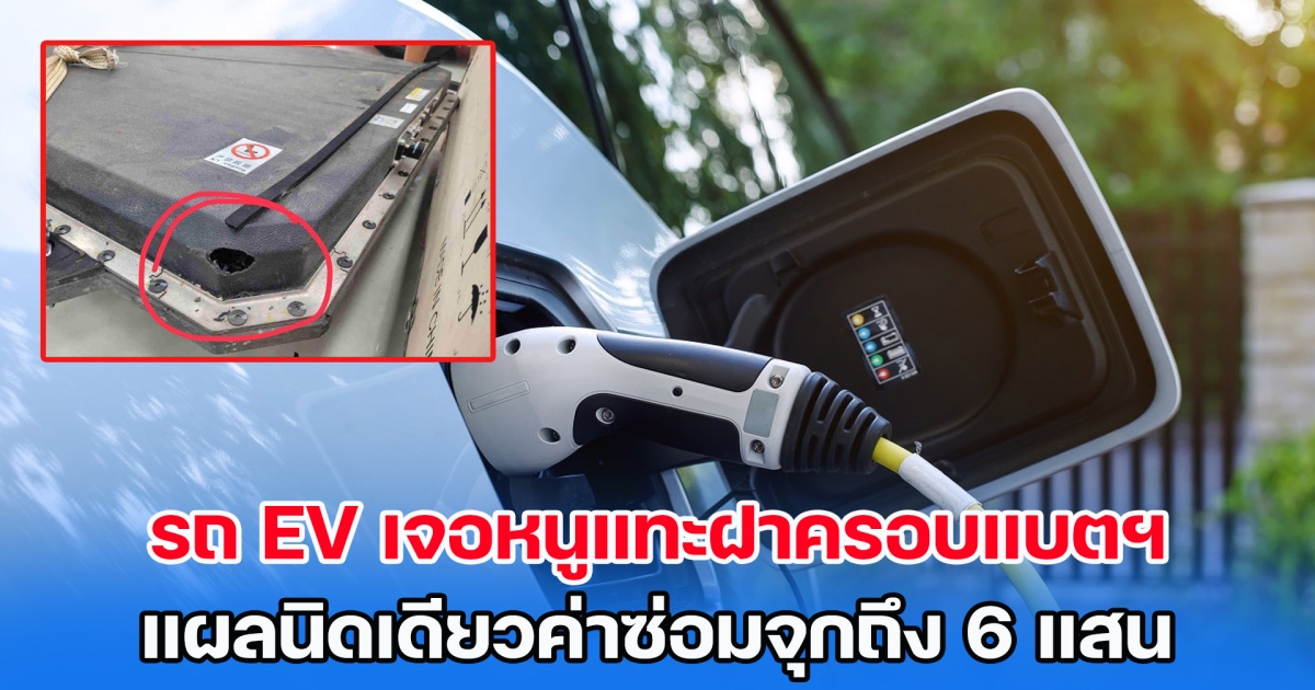 ลูกค้าจอดรถไฟฟ้า EV ที่บ้าน เจอหนูแทะฝาครอบแบตฯ แผลนิดเดียวค่าซ่อมจุกถึง 6 แสน
