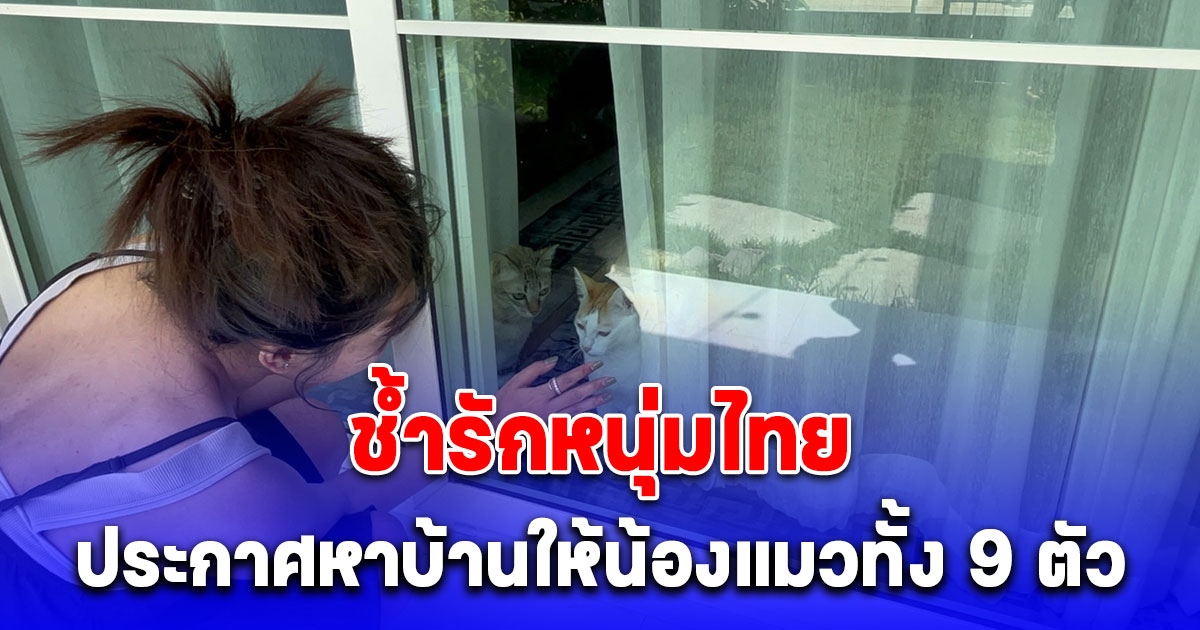 สาวกัมพูชาช้ำรักหนุ่มไทย ประกาศหาบ้านให้น้องแมวทั้ง 9 ตัวทั้งน้ำตา