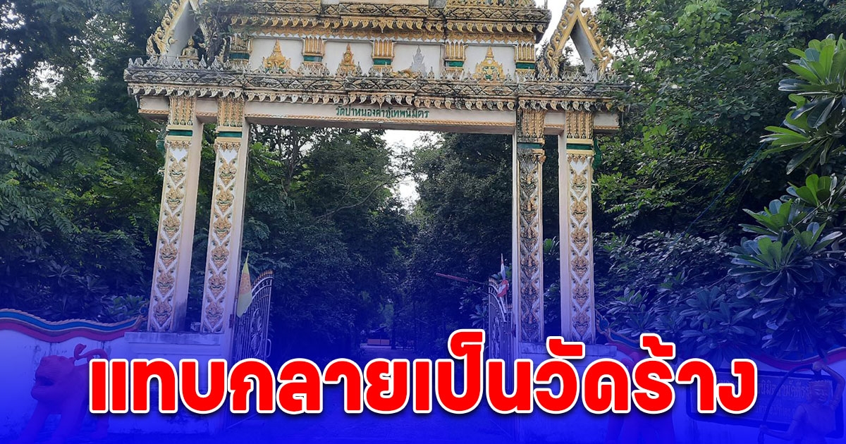 แทบกลายเป็นวัดร้าง พระอยู่ไม่ได้ ชาวบ้าน ใช้ยาฆ่าหญ้า กลิ่นฉุนโชยเข้าไปถึงในวัด