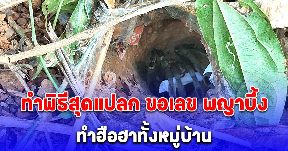 หนุ่มใหญ่ทำพิธีสุดแปลก ตามศาสตร์ความเชื่อโบราณ เชื่อ พญาบึ้ง ให้โชค