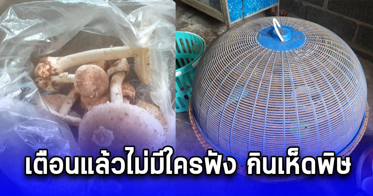 เตือนแล้วไม่มีใครฟัง กินเห็ดพิษ เสียชีวิต 1 สาหัสอีก 2