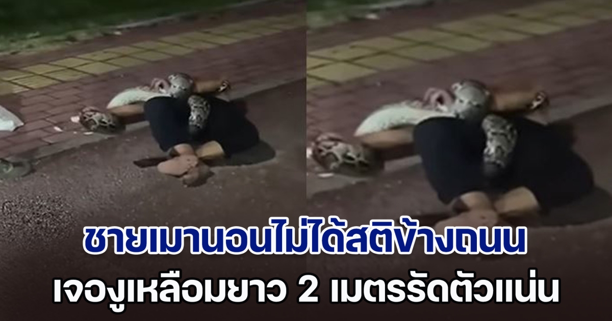 สะดุ้งกันทั้งซอย! ชายเมานอนไม่ได้สติข้างถนน เจองูเหลือม 2 เมตรรัดตัวแน่น รีบโทรแจ้ง จนท. ช่วยเหลือ (ตปท.)