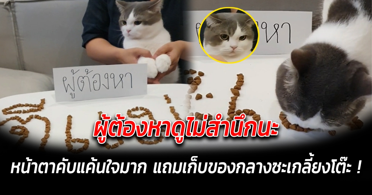 ผู้ต้องหาดูไม่สำนึกนะ หน้าตาคับแค้นใจมาก แถมเก็บของกลางซะเกลี้ยงโต๊ะ