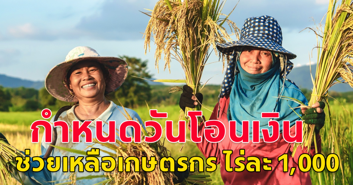 กำหนดวันโอนเงิน ช่วยเหลือเกษตรกร ไร่ละ 1,000