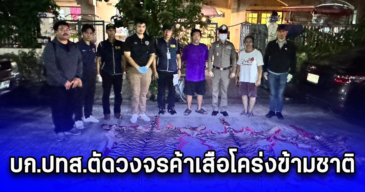 บก.ปทส.ตัดวงจรค้าเสือโคร่งข้ามชาติ