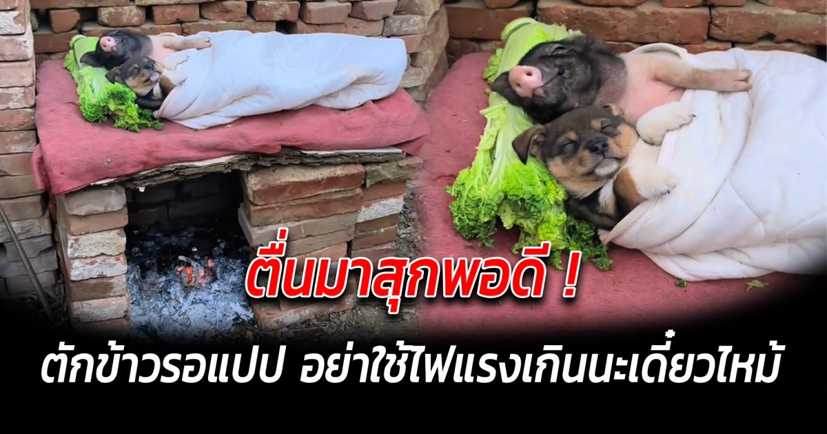 ตื่นมาสุกพอดี ตักข้าวรอแปป อย่าใช้ไฟแรงเกินนะเดี๋ยวไหม้