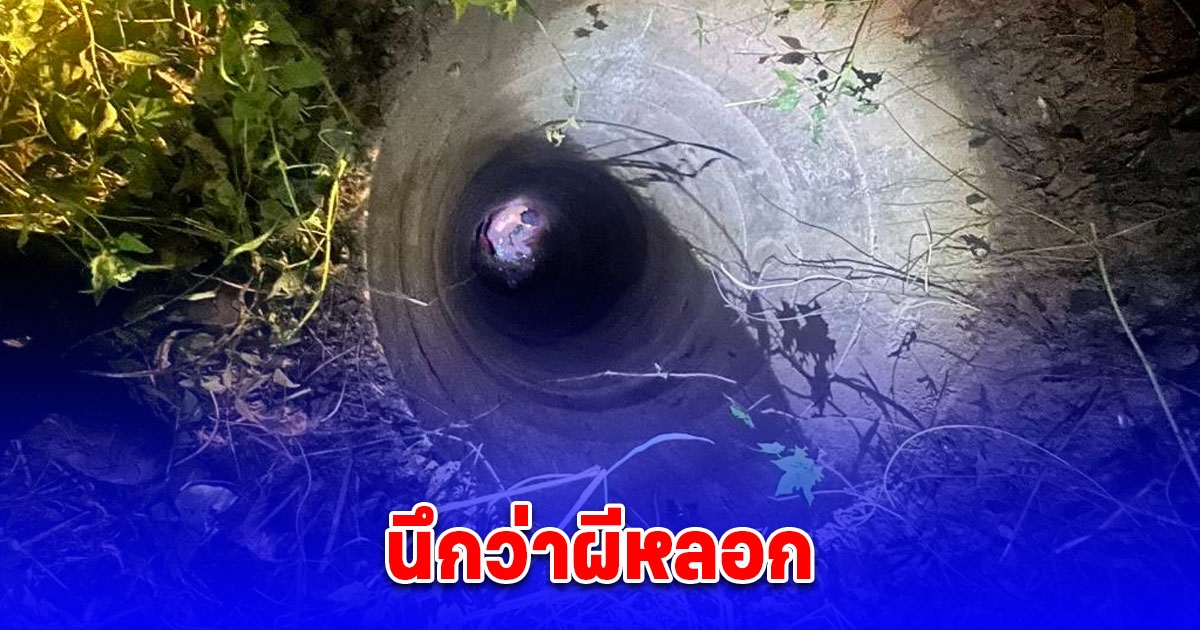 เสียงประหลาดในป่านึกว่าผีหลอก ที่ไหนได้หนุ่มจีนตกอยู่ในบ่อน้ำมา 3 วันแล้ว