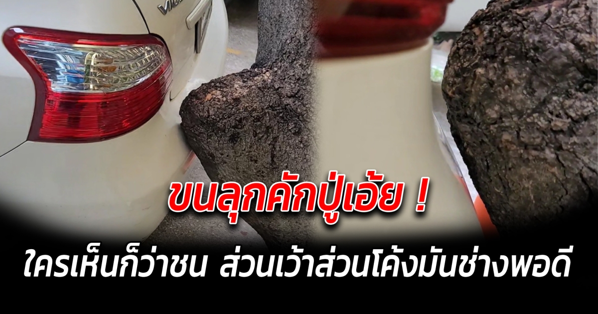 ขนลุกคักปู่เอ้ย ใครเห็นก็ว่าชน ส่วนเว้าส่วนโค้งมันช่างพอดี