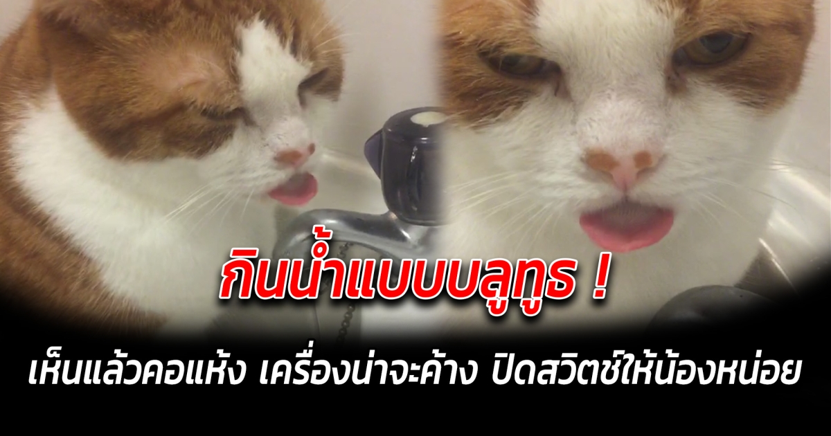 กินน้ำแบบบลูทูธ เห็นแล้วคอแห้ง เครื่องน่าจะค้าง ปิดสวิตช์ให้น้องหน่อย