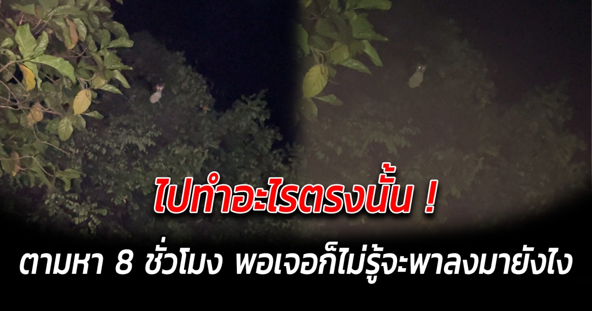 ไปทำอะไรตรงนั้น ตามหา 8 ชั่วโมง พอเจอก็ไม่รู้จะพาลงมายังไง