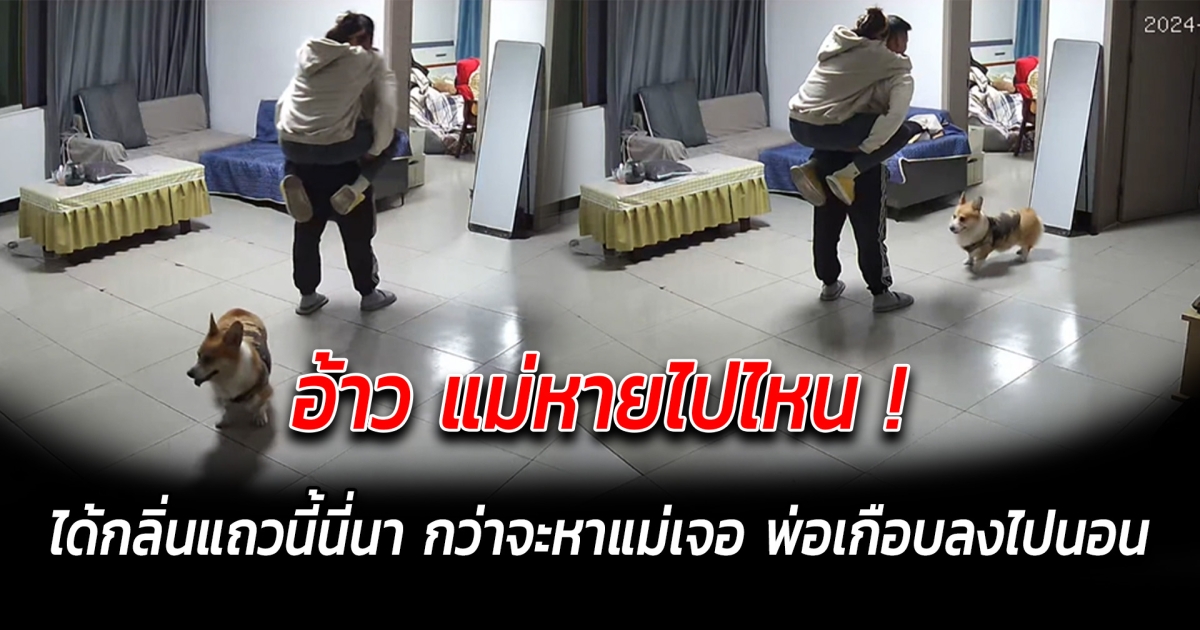 อ้าว แม่หายไปไหน ได้กลิ่นแถวนี้นี่นา กว่าจะหาแม่เจอ พ่อเกือบลงไปนอน