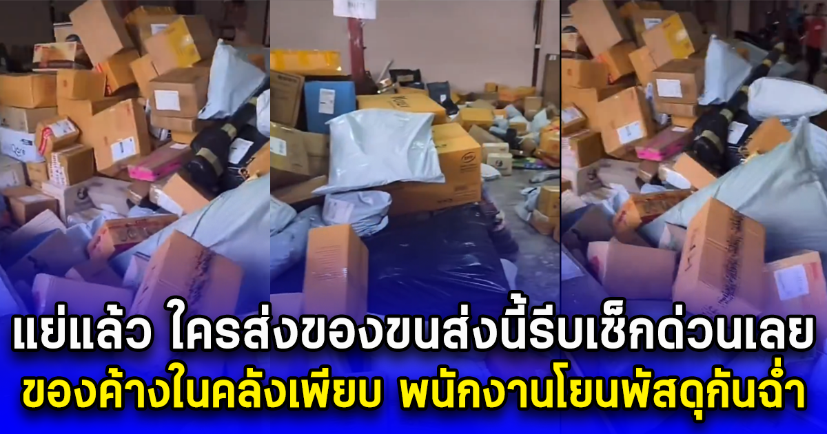 แย่แล้ว ใครส่งของขนส่งนี้รีบเช็กด่วนเลย ของค้างในคลังเพียบ พนักงานโยนพัสดุกันฉ่ำ