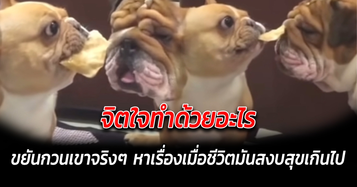 จิตใจทำด้วยอะไร ขยันกวนเขาจริงๆ หาเรื่องเมื่อชีวิตมันสงบสุขเกินไป