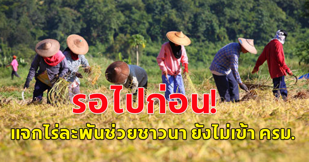 รอไปก่อน! แจกเงินหมื่นเฟส 2 ผู้สูงอายุ  แจกไร่ละพันช่วยชาวนา ยังไม่เข้า ครม.