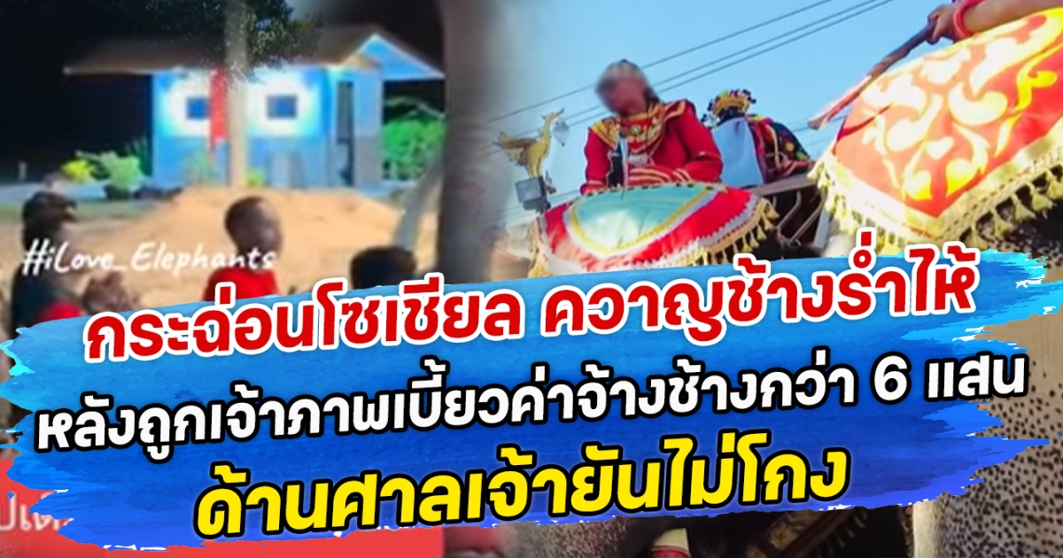 กระฉ่อนโซเชียล ควาญช้างร่ำไห้ หลังถูกเจ้าภาพเบี้ยวค่าจ้างช้างกว่า 6 แสน ด้านศาลเจ้ายันไม่โกง