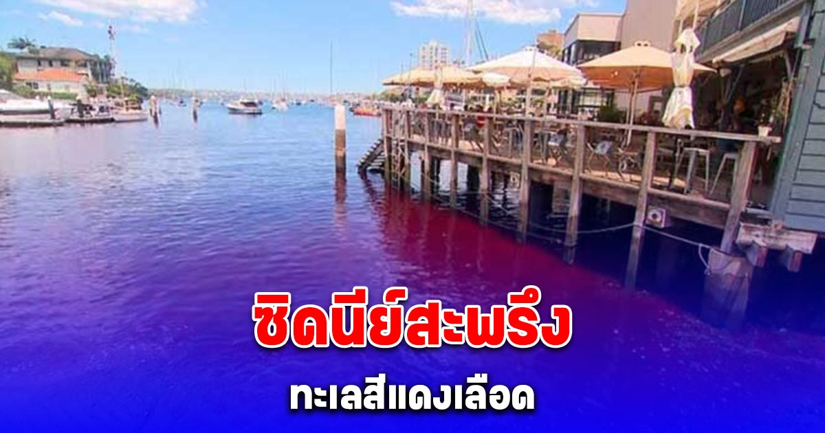 ซิดนีย์สะพรึง จู่ๆน้ำทะเลเปลี่ยนเป็นสีแดงเลือด