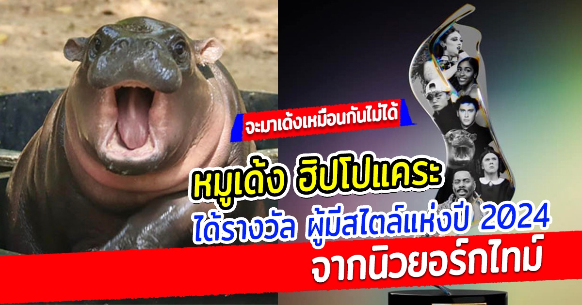 ดังระดับโลก หมูเด้ง ฮิปโปแคระ ได้รางวัล ผู้มีสไตล์แห่งปี 2024 จากนิวยอร์กไทม์