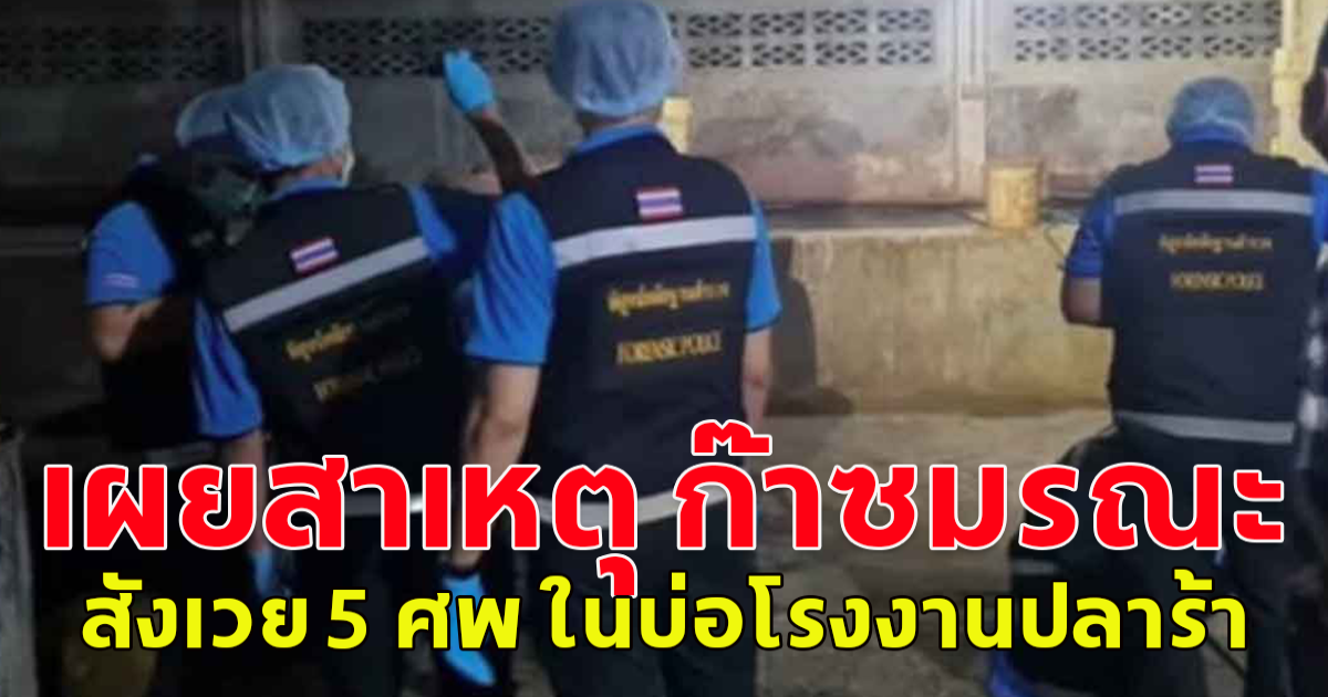เผยสาเหตุ ก๊าซมรณะ สังเวย 5 ร่าง ในบ่อโรงงานปลาร้า เพชรบูรณ์ จนท.เร่งเคลียร์พื้นที่