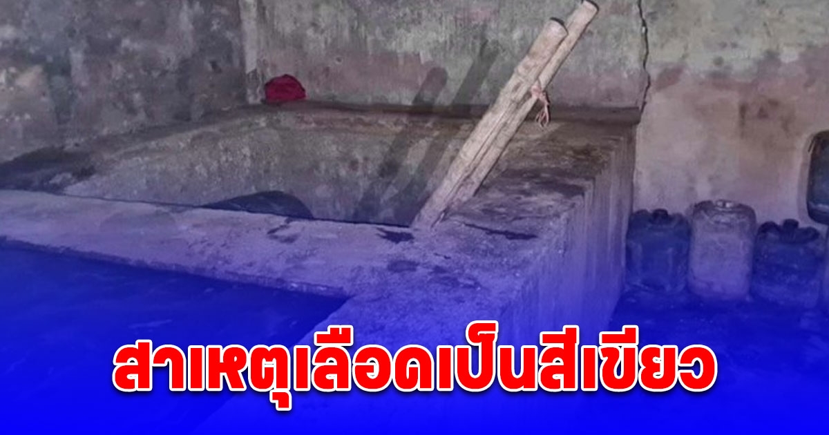 ผลชันสูตร 5 คนงานเสียชีวิตที่บ่อน้ำทิ้งโรงงานปลาร้า พบเลือดเป็นสีเขียว มาจากการสูดดมก๊าซ