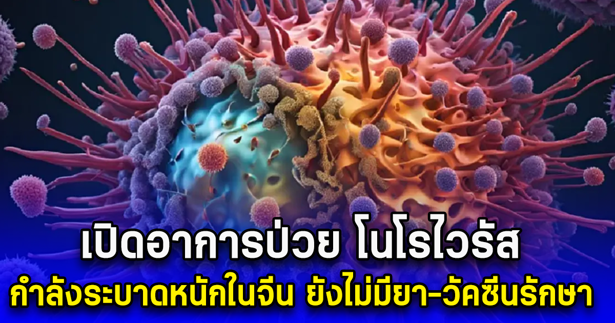 เปิดอาการป่วย โนโรไวรัส กำลังระบาดหนักในจีน ยังไม่มียา-วัคซีนรักษา