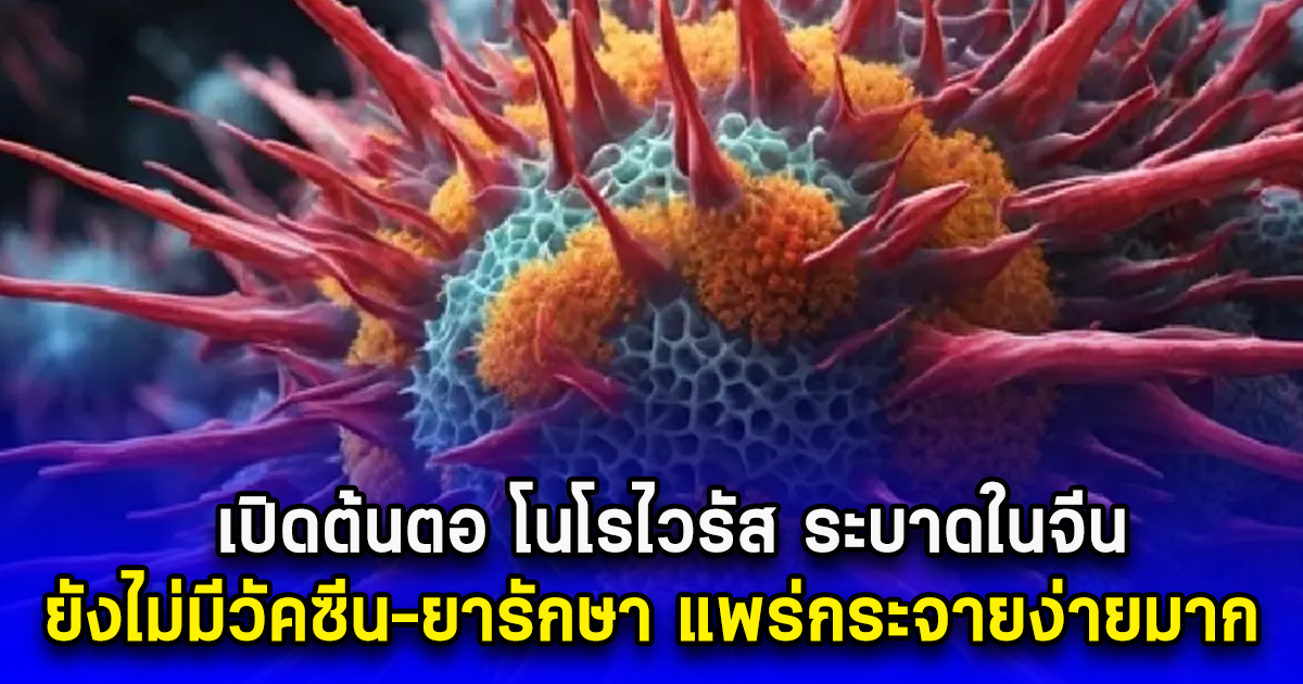 เปิดต้นตอ โนโรไวรัส ระบาดในจีน ยังไม่มีวัคซีน-ยารักษา แพร่กระจายง่ายมาก