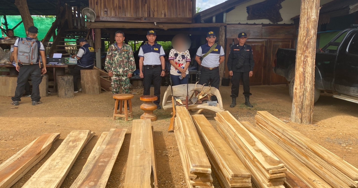 บก.ปทส.รุกผู้มีอิทธิพลในพื้นที่ครอบครองซากสัตว์ ไม้หวงห้ามรีดทรัพย์ผู้ประกอบการรีสอร์ท