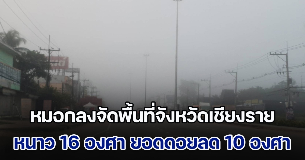 หมอกลงจัดพื้นที่จังหวัดเชียงราย หนาว 16 องศา ยอดดอยลด 10 องศา