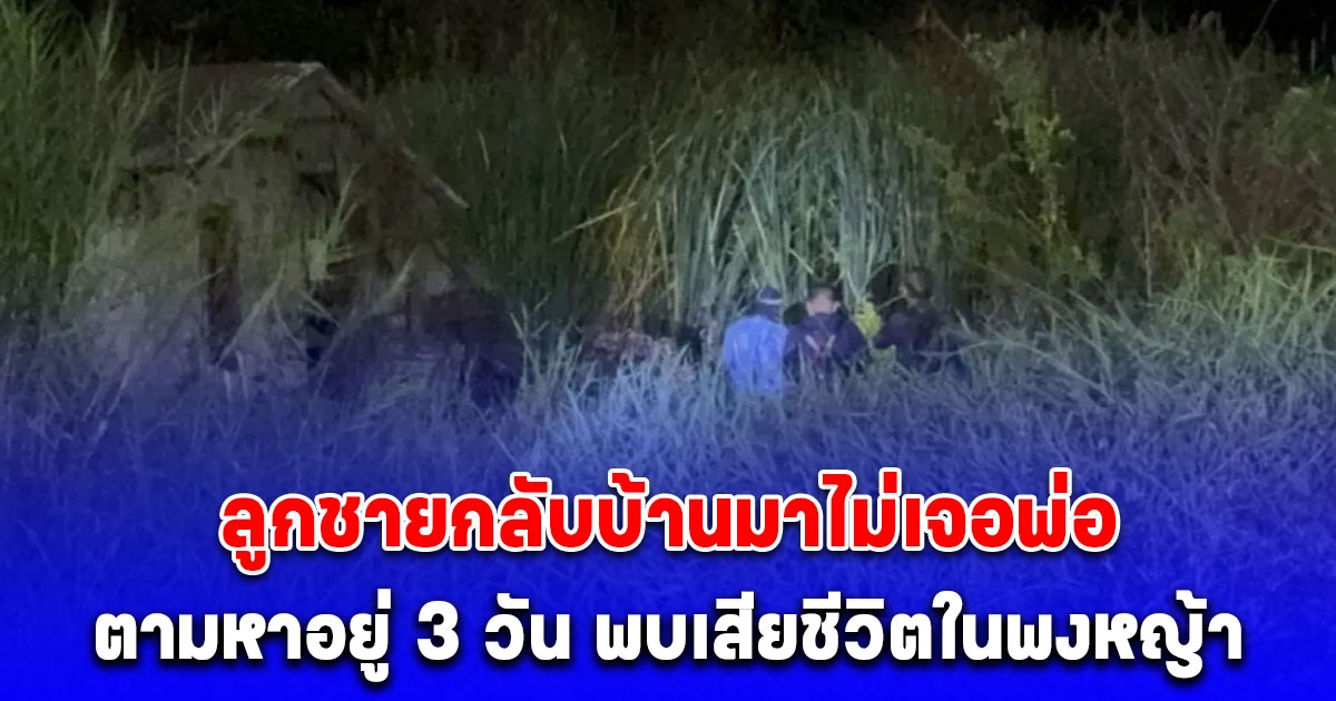 หนุ่มไปเที่ยว ภูทับเบิก กลับมาบ้านไม่เจอพ่อ ตามหาอยู่ 3 วัน พบร่างพ่อนอนเสียชีวิตในพงหญ้า