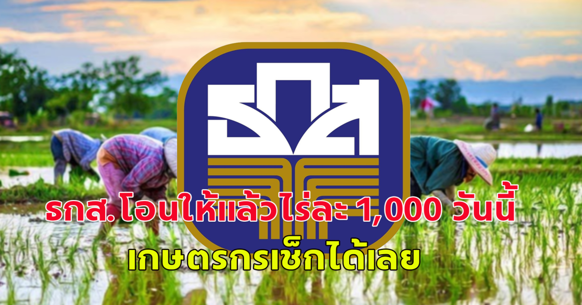 ธกส.โอนให้แล้วไร่ละ 1,000 วันนี้